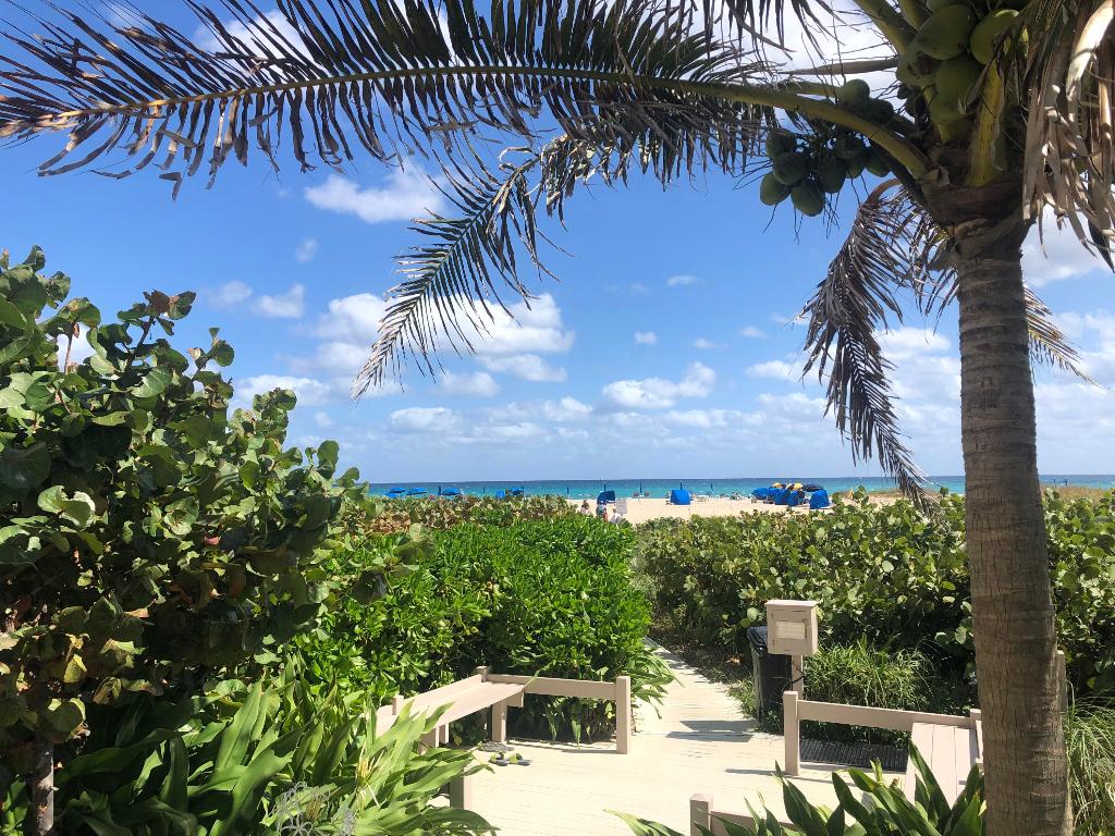 PHOENIX TOWERS CONDO - Residential Lease