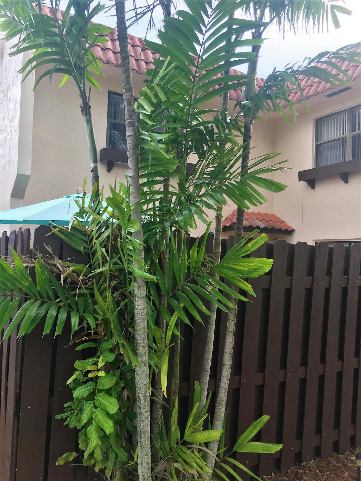 SEVEN SPRINGS 1 - Residential