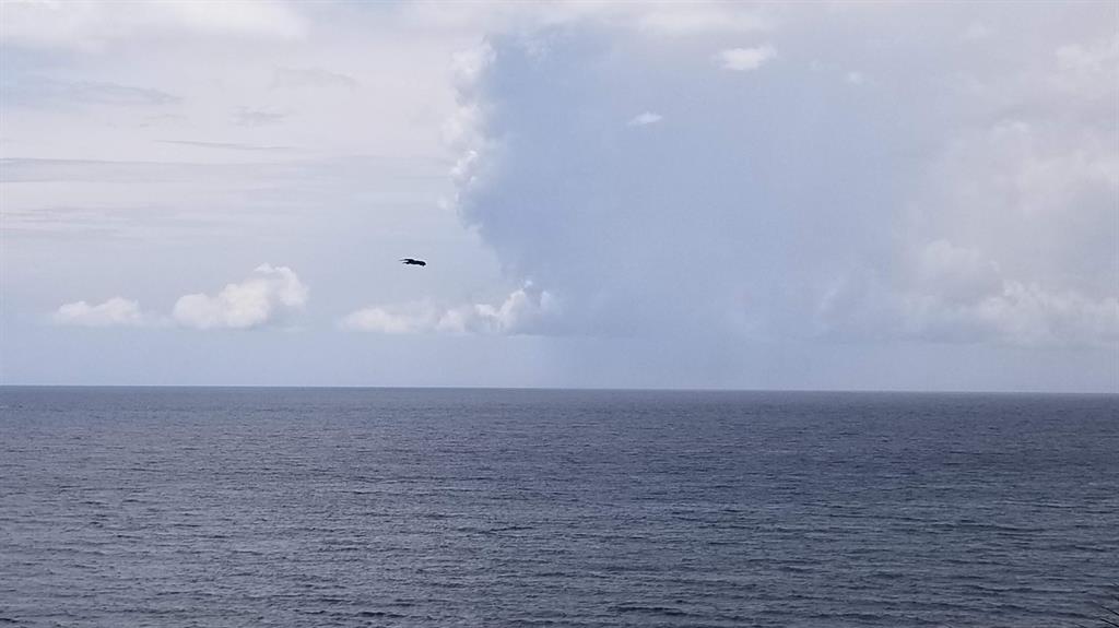 PENTHOUSE TOWERS - Residential