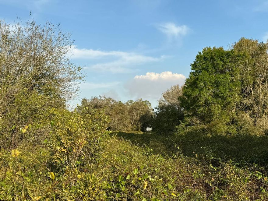 Vacant residential lot located in Montura Ranches, Clewiston. Spacious parcel ideal for building a single-family home or placing a manufactured home. No HOA. Quiet rural setting with easy access to main roads and nearby amenities.