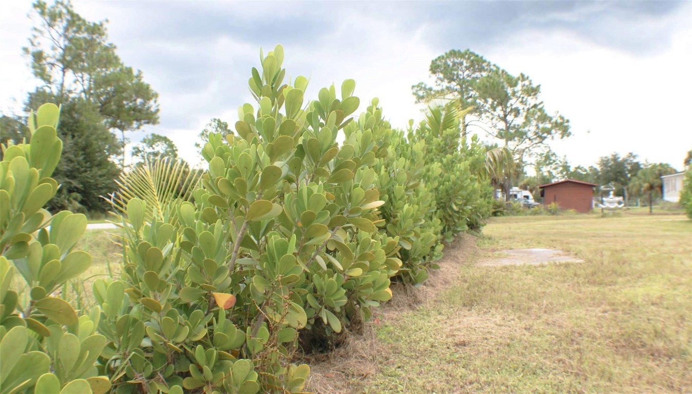 Montura Ranch - Residential