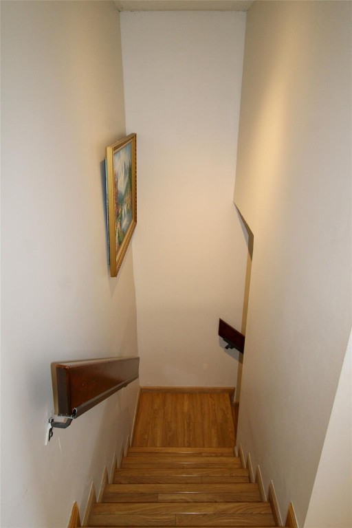 NEW PASEOS CASTELLANOS CO - Residential