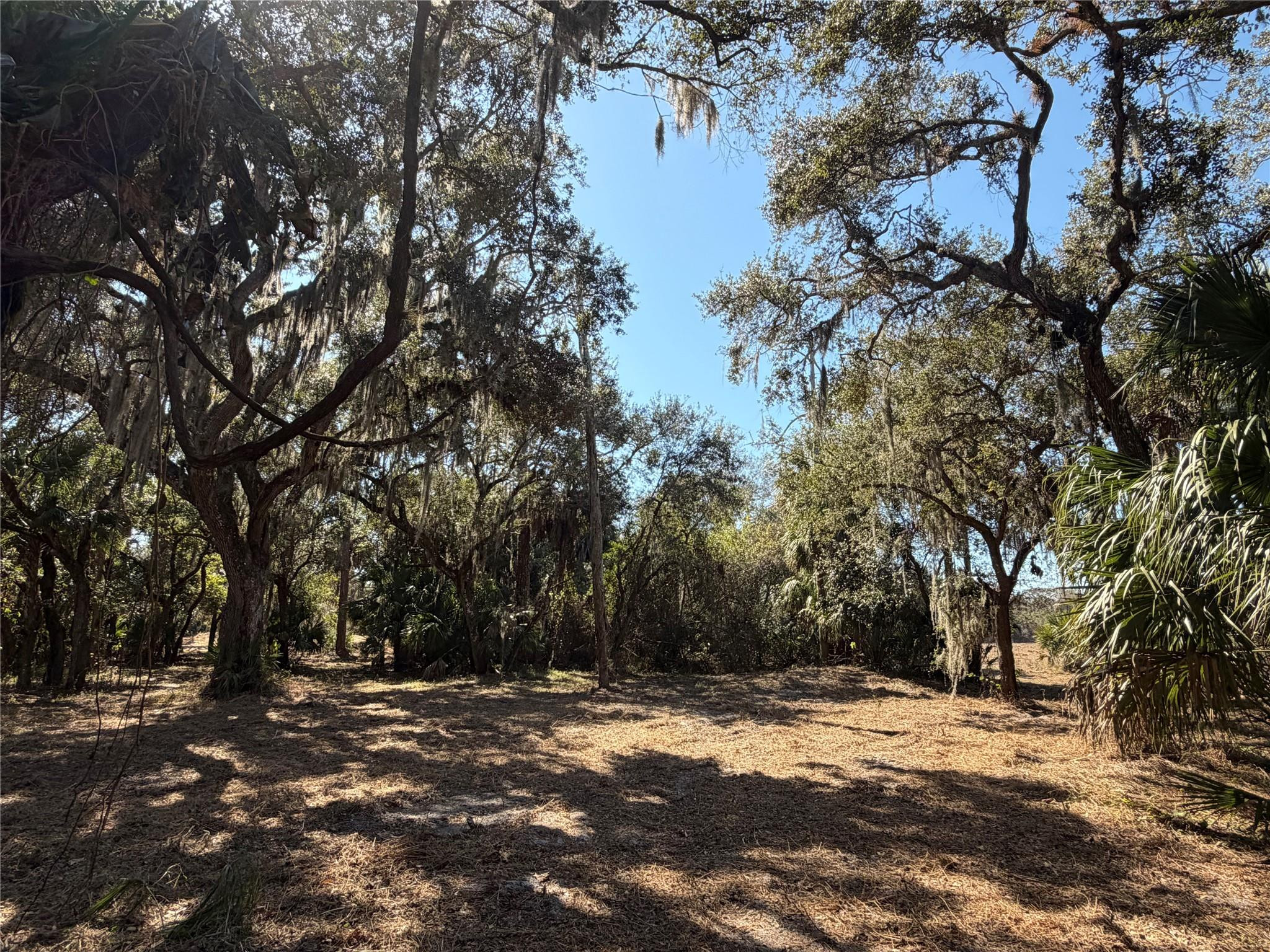 TBD SE Tbd 40th Avenue