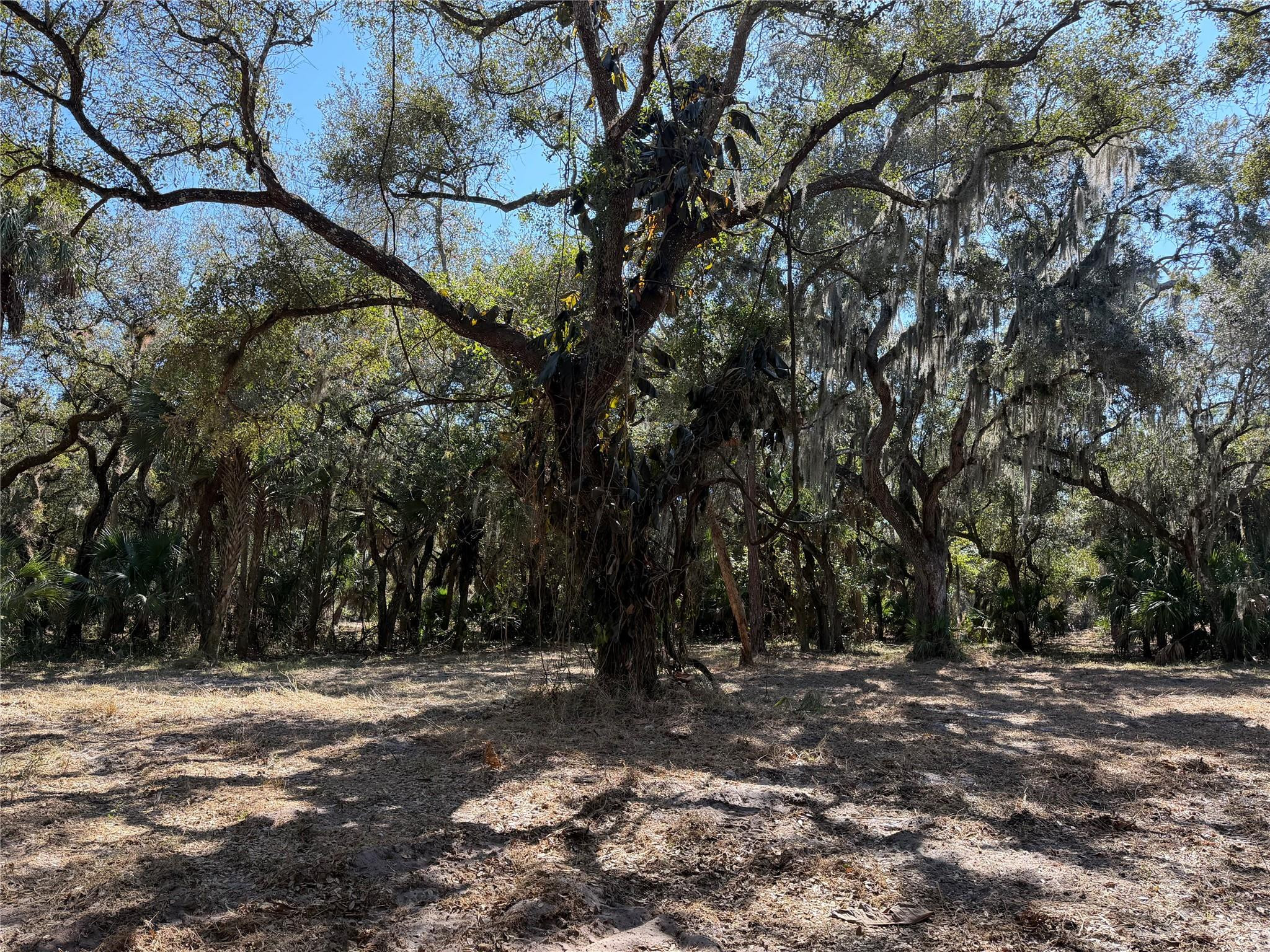 TBD SE Tbd 40th Avenue