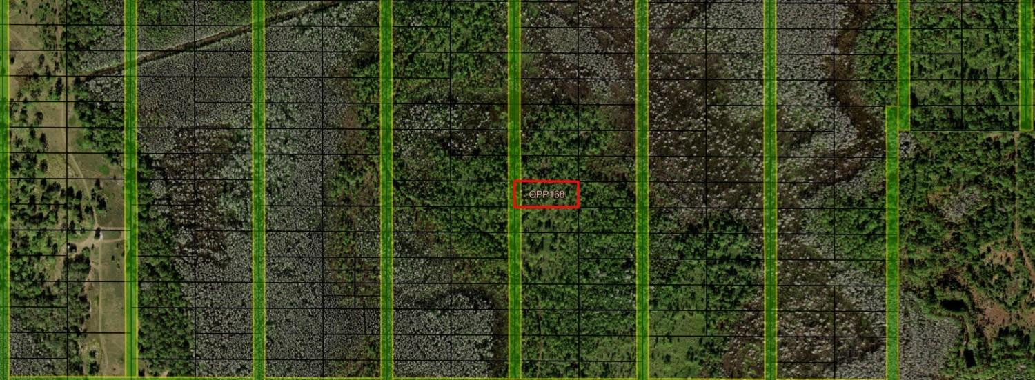 Opp168 Orlando Pines - Land