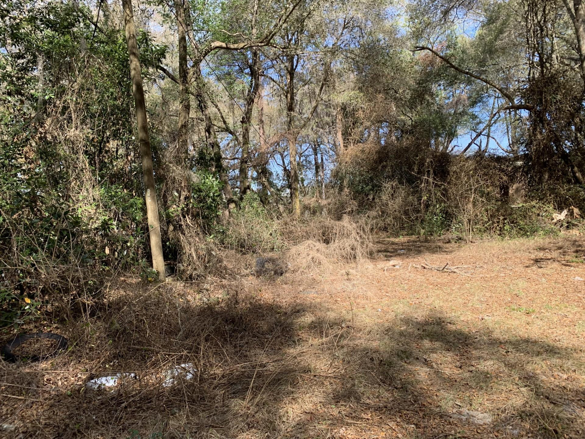 Silver Spgs Acres - Residential