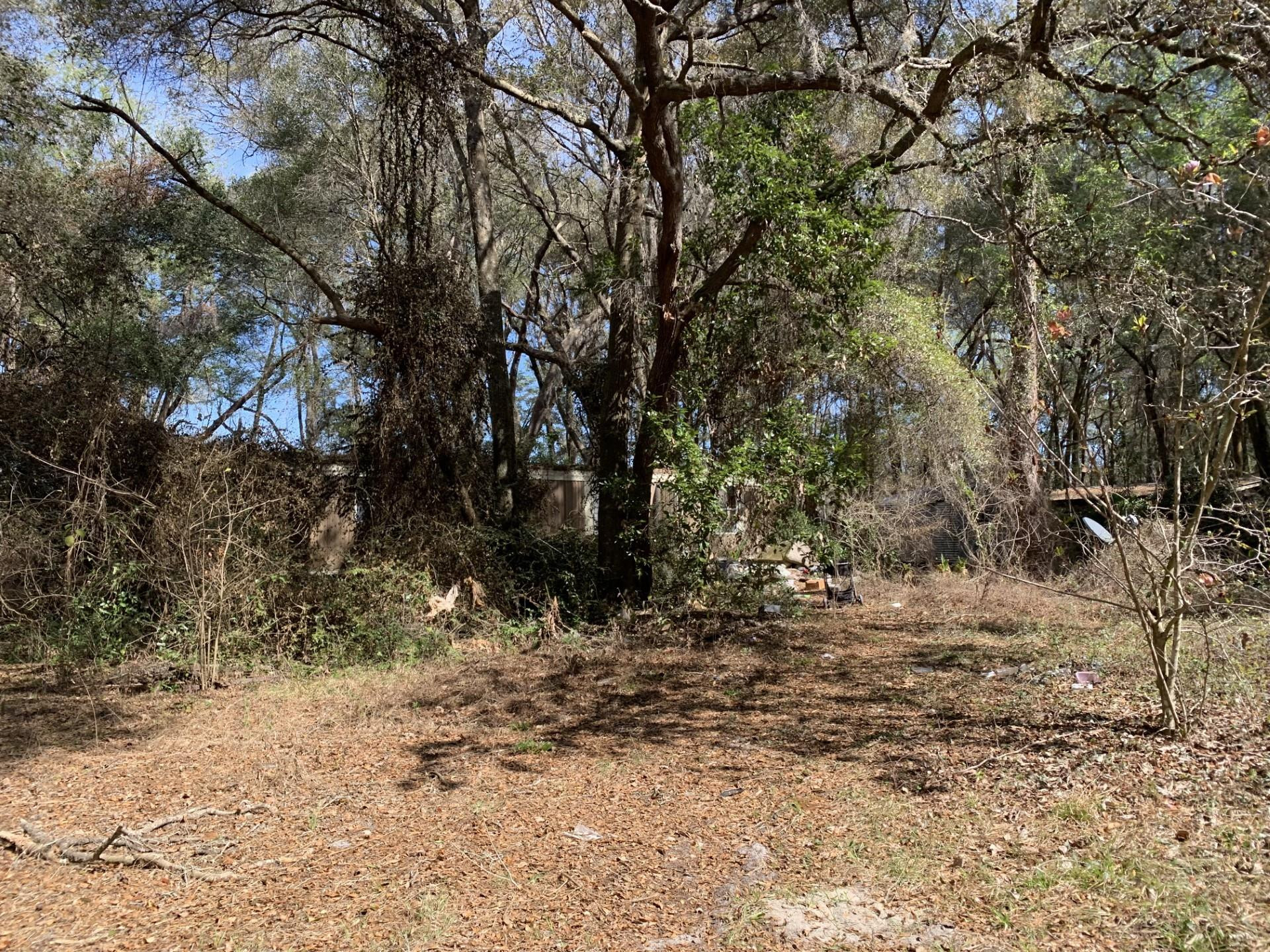 Silver Spgs Acres - Residential