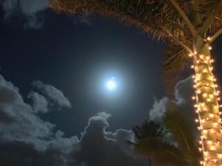 COLONIAL RIDGE CORP - Residential