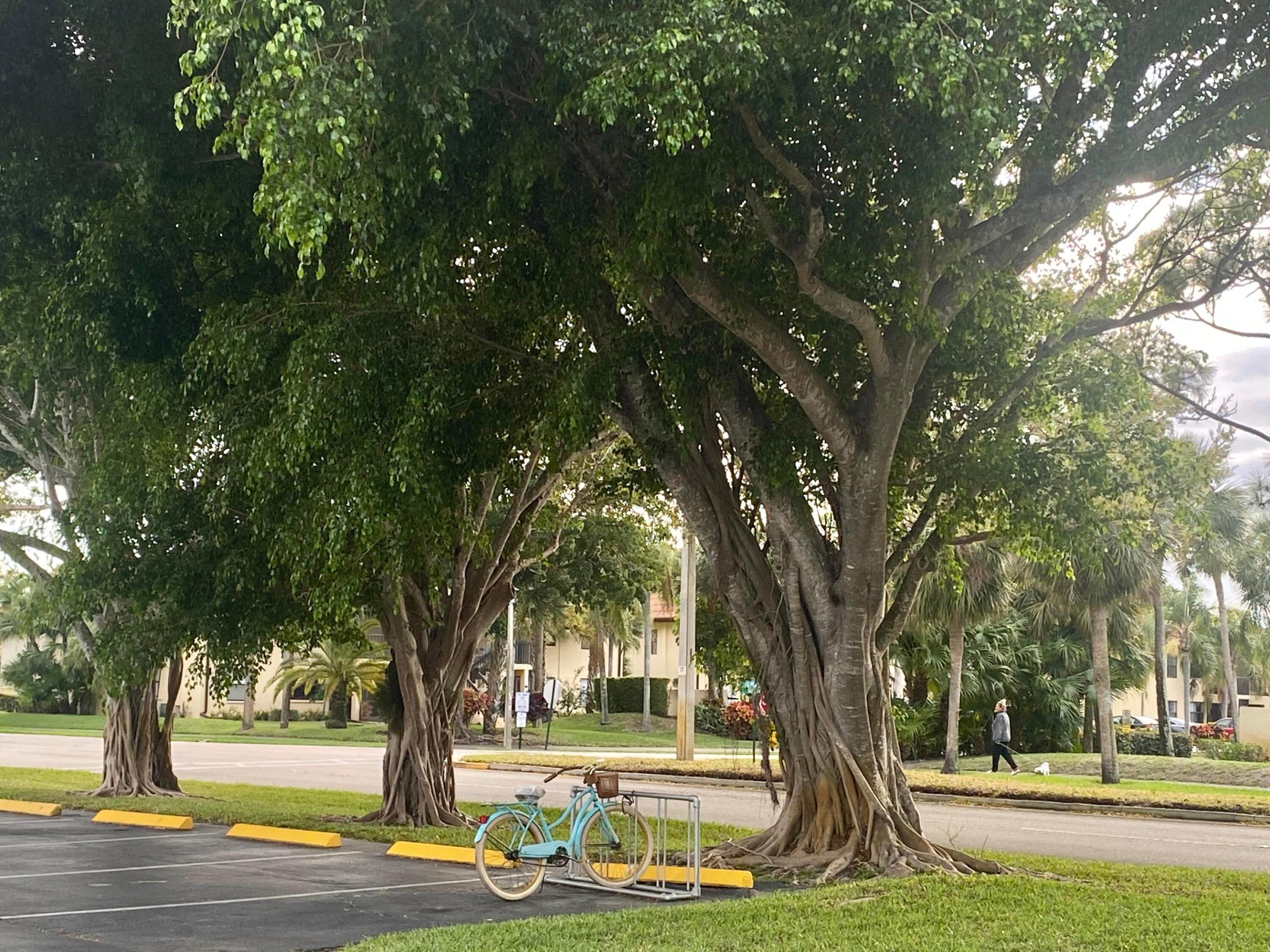 LUCERNE LAKES GOLF COLONY CONDOS 1 THRU 12 - Residential Lease