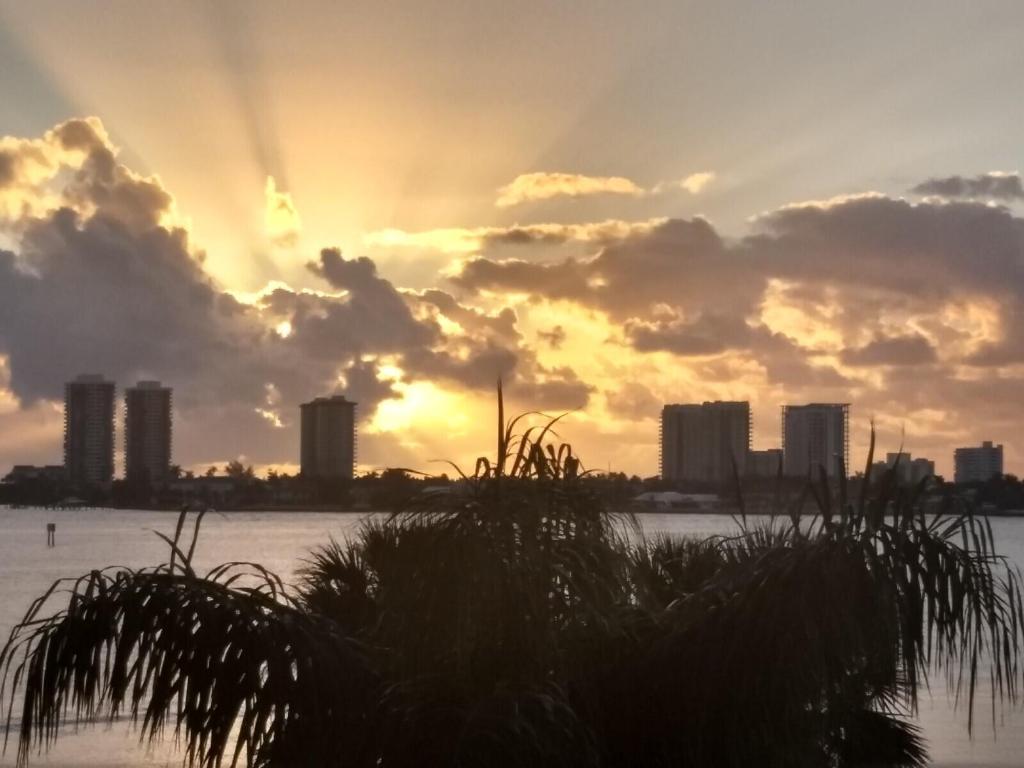 LAKE HARBOUR TOWERS CONDO - Residential