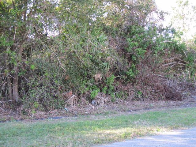 Great lot close to the Crosstown Parkway for easy access to I -95 and the Turnpike. The corner lot to the south (RX-RX-10425860) is also available. Buy both! Great for building your dream home, investors looking to build spec homes or holding for the future!