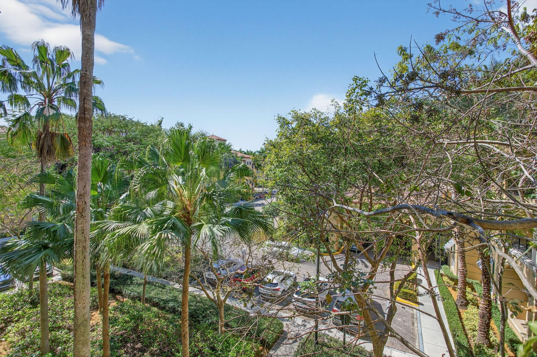 The Palms at Weston - Residential