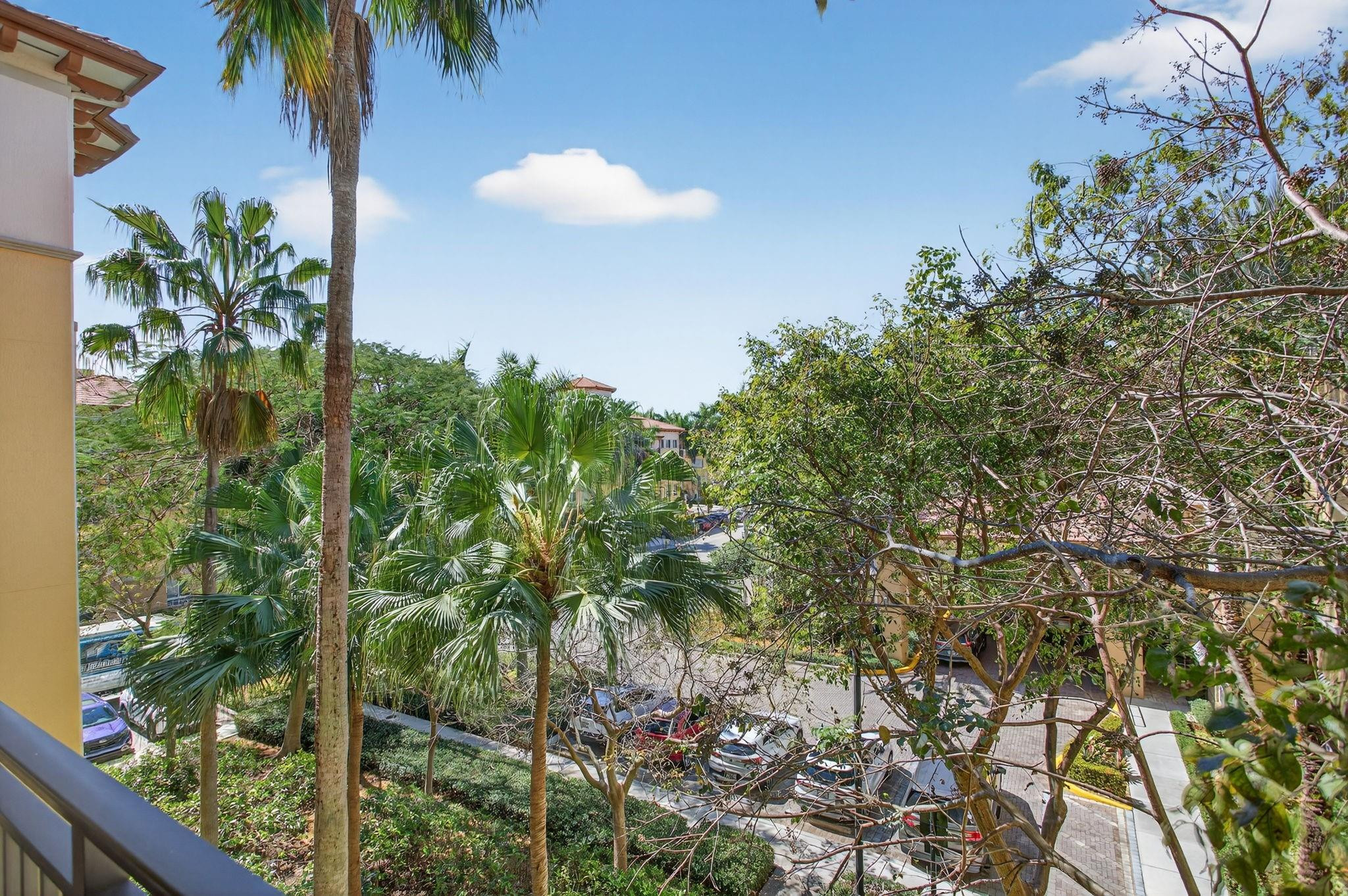 The Palms at Weston - Residential