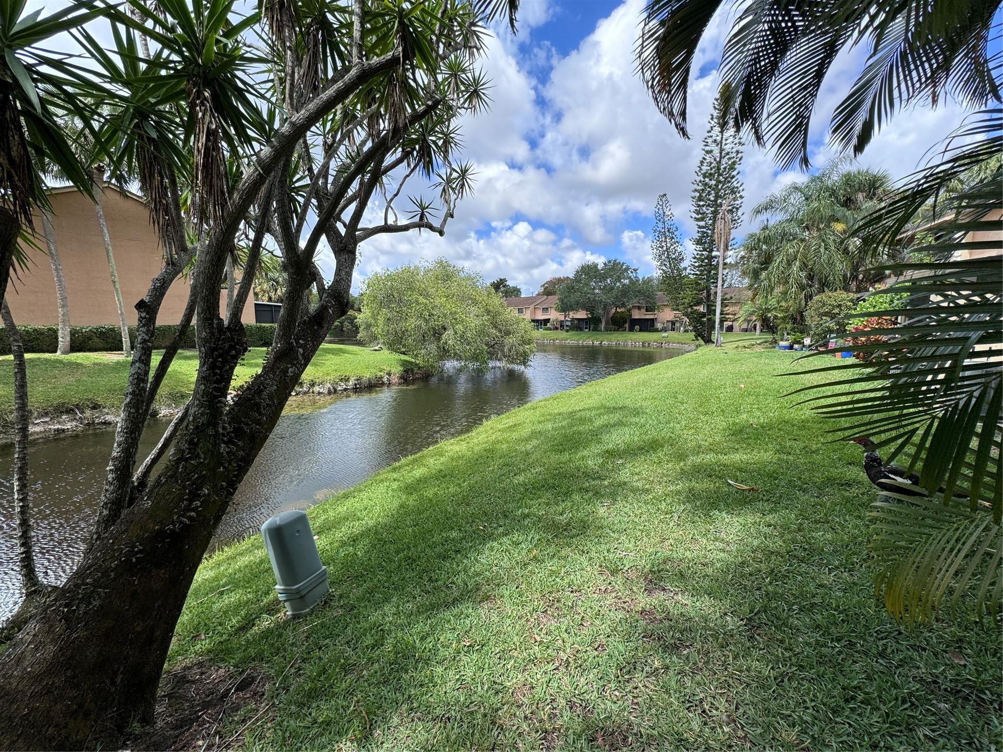 GOLDEN RAINTREE VI - Residential