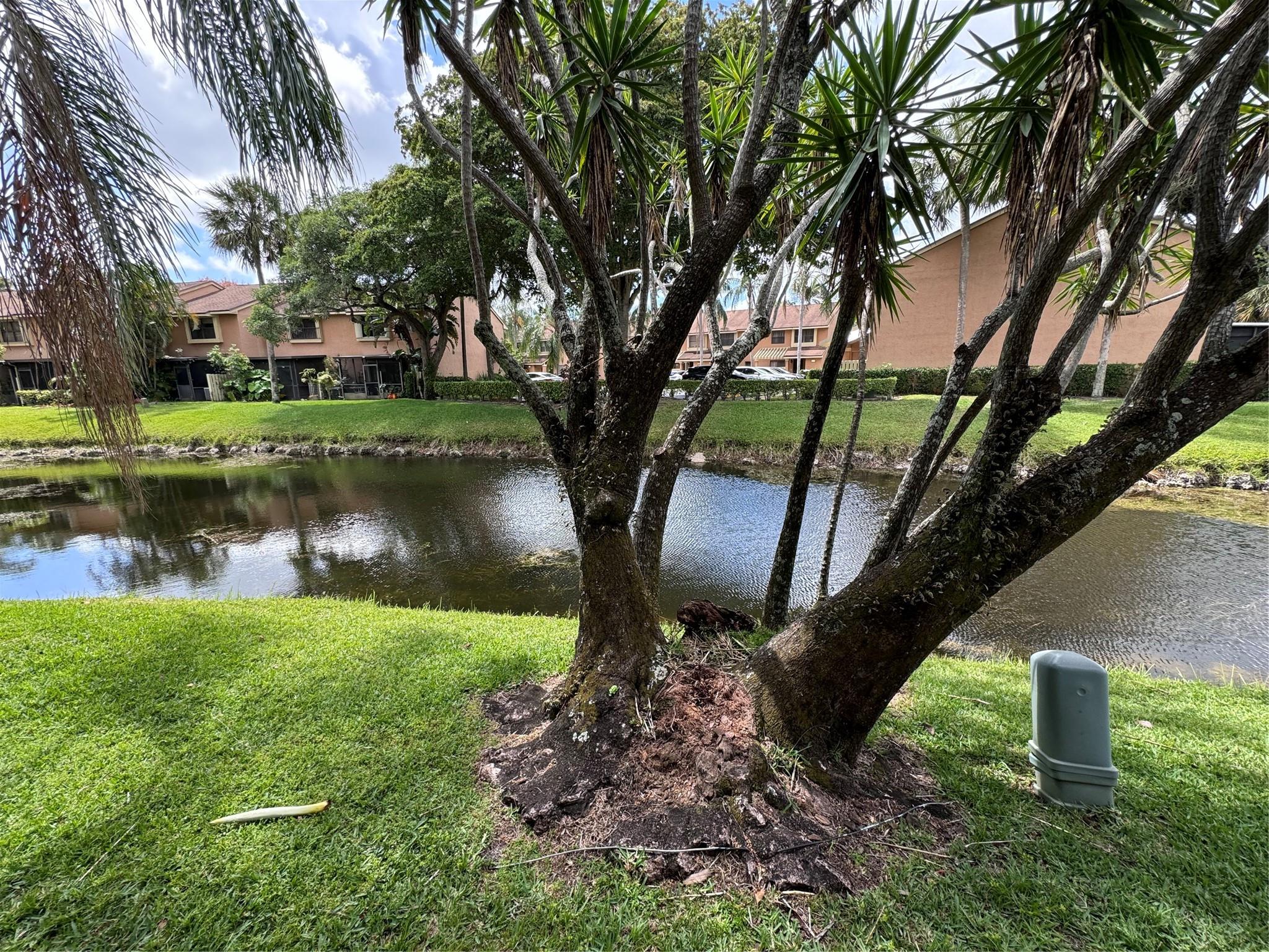 GOLDEN RAINTREE VI - Residential