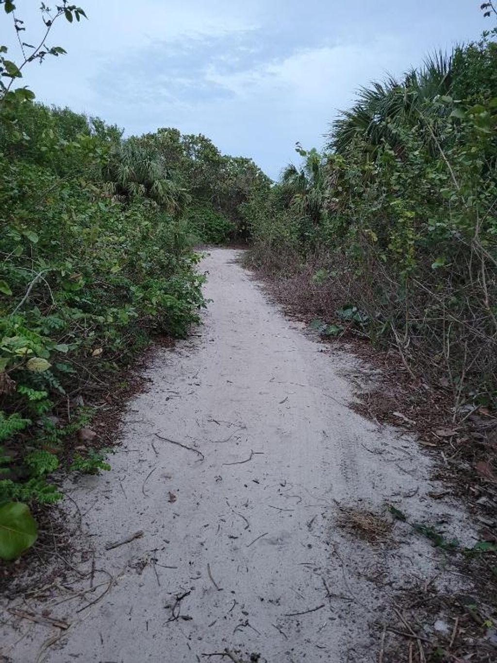 Photo of 0 North Ocean Drive, Hutchinson Island, FL 34949 (MLS # R11090738)