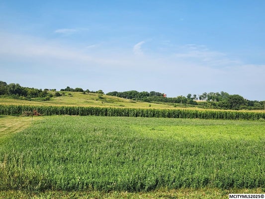 PRAIRIE VIEW PL, ROCKFORD, IA 50468 - Image 212a3f69b69dfd7d7500a902f0a6480b/3576823952