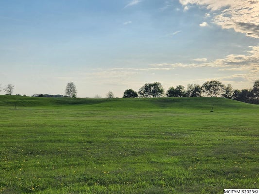 427 BRICKYARD RD LOT 29, SHEFFIELD, IA 50475 - Image 74352fb60fb4e496ce4fc0e3a2b934c8/938674726