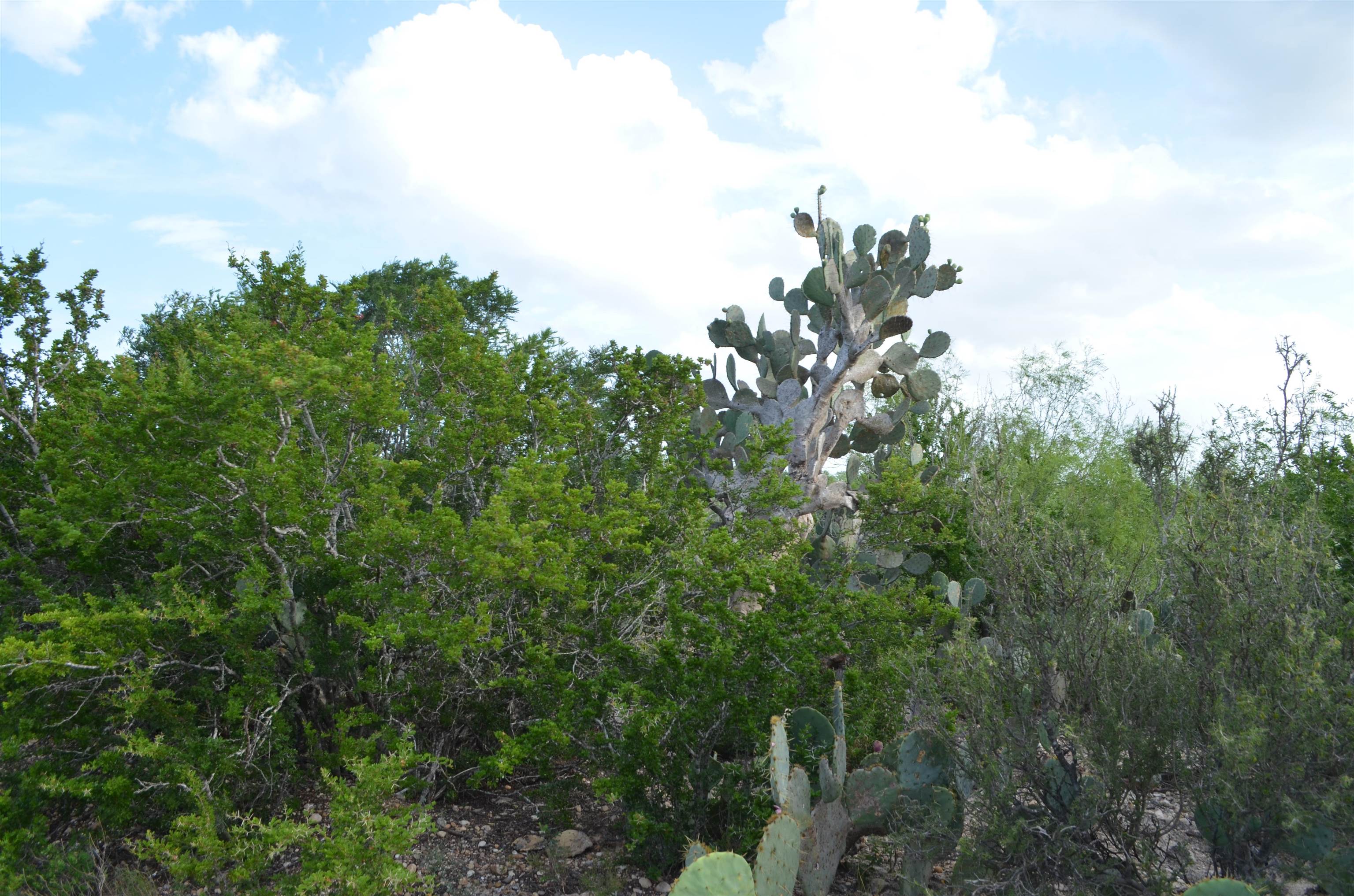 Photo 1 of 12 — Lot 92 Los Centenarios, Laredo, TX 78043