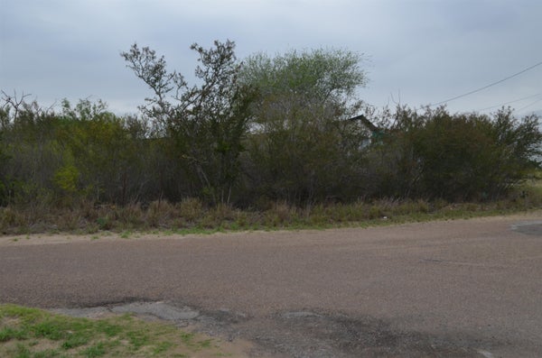 5105 GRANDE LN, ZAPATA, TX 78076 - Image b557b1108129bb2d35ffe68a7ef0c5be/3528615669