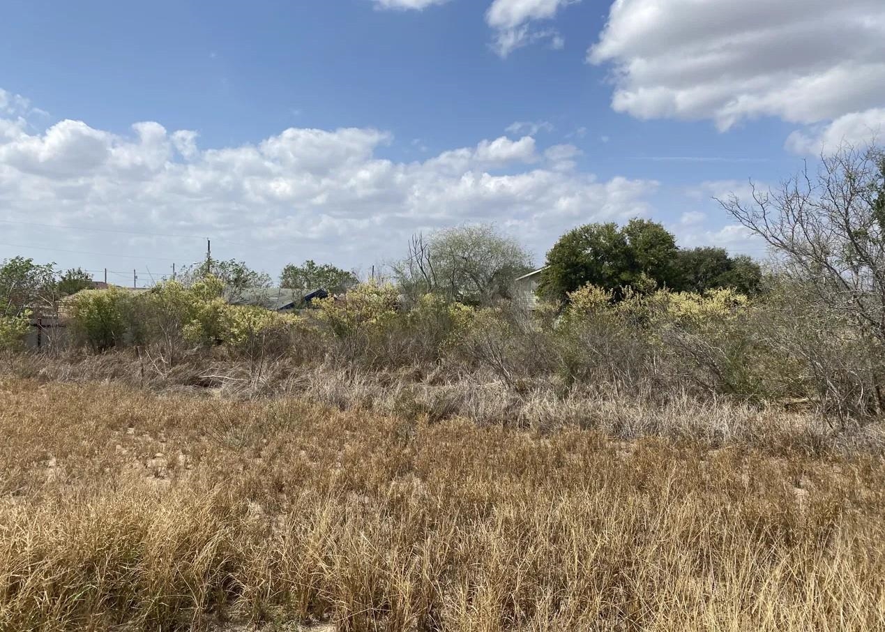Photo 1 of 5 — 5409 Romeo Ln., Zapata, TX 78076