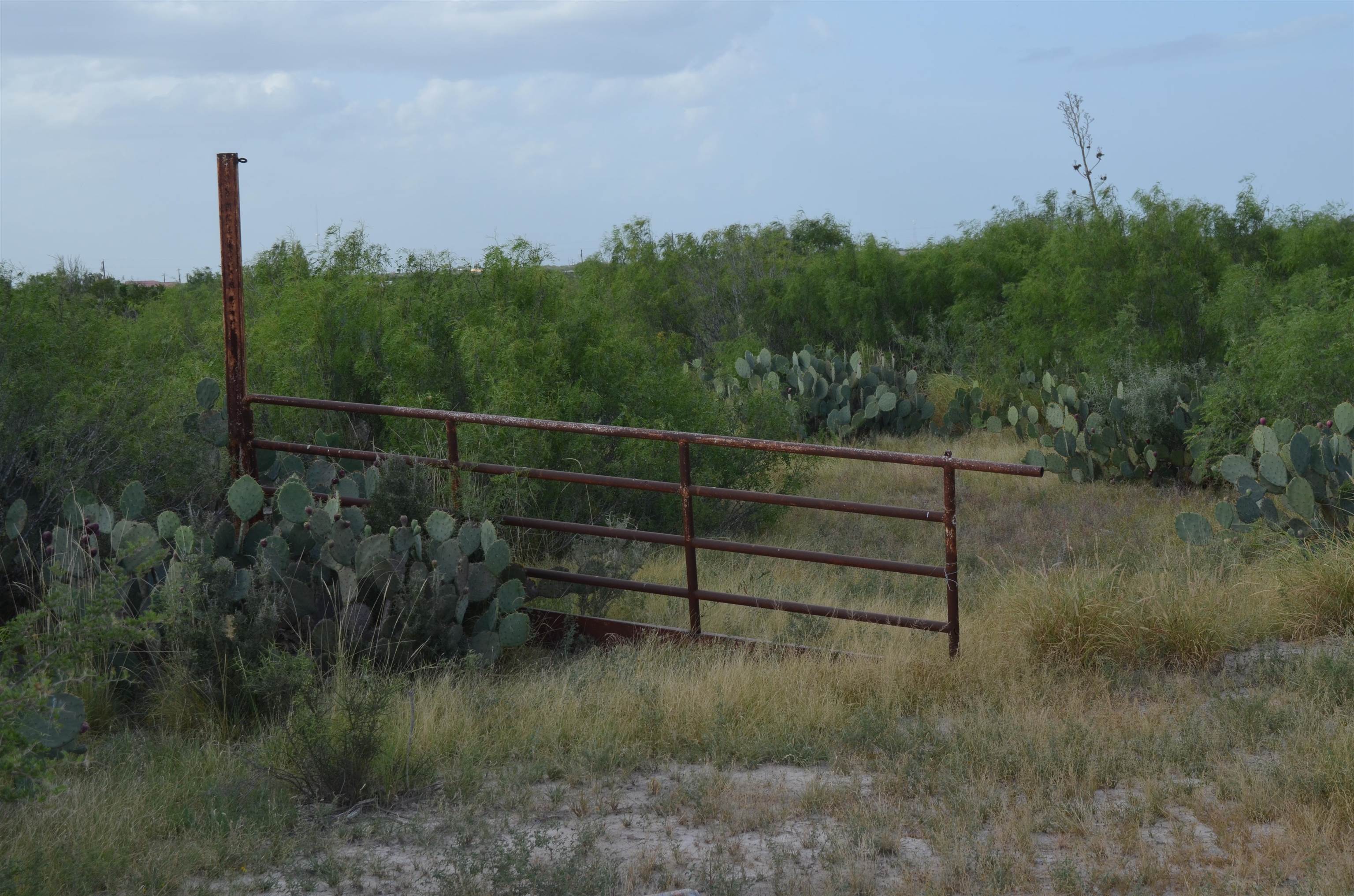 Photo 1 of 11 — Lot 43 Los Centenarios, Laredo, TX 78043