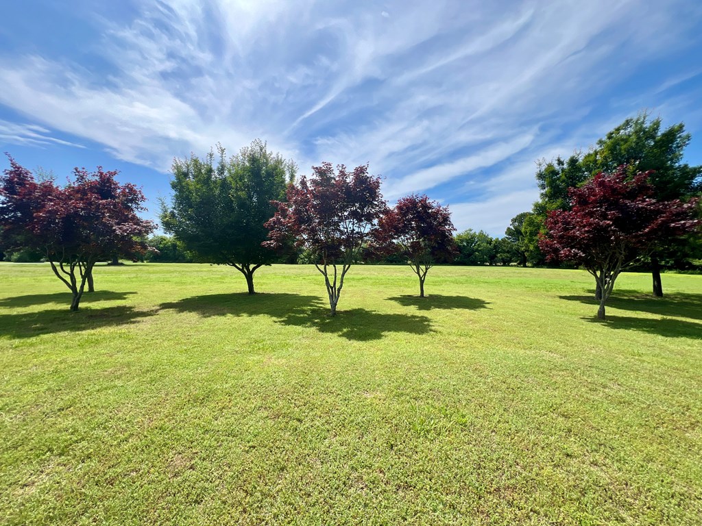 2453 Sand Hill Dr, Cape Charles, Virginia image 10