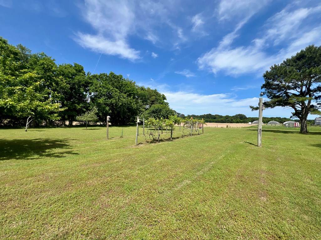 2453 Sand Hill Dr, Cape Charles, Virginia image 9