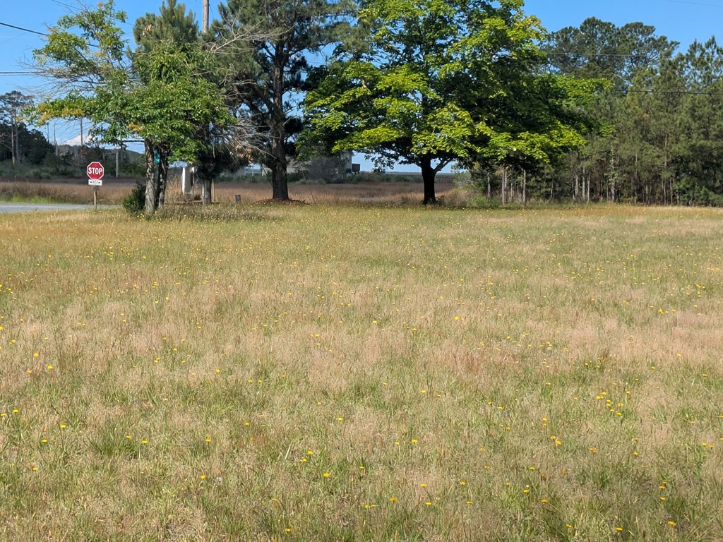 Lot C Black Mallard Way #C, Onancock, Virginia image 6