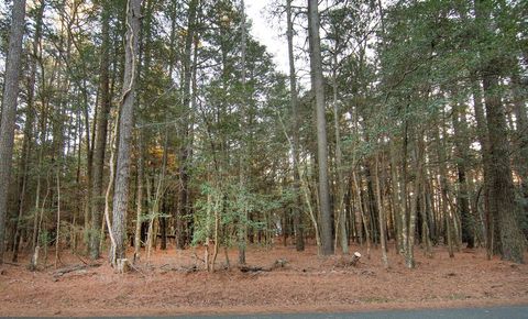 Vacant Land For Sale - LOT 827 Castaway Dr #827<br/> Accomack County, Greenbackville, VA 23356