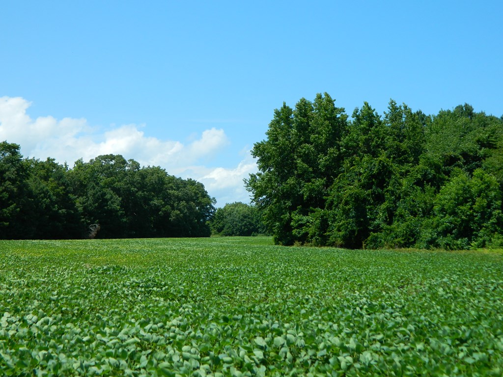 5011 Bailey Lane, Cape Charles, Virginia image 2