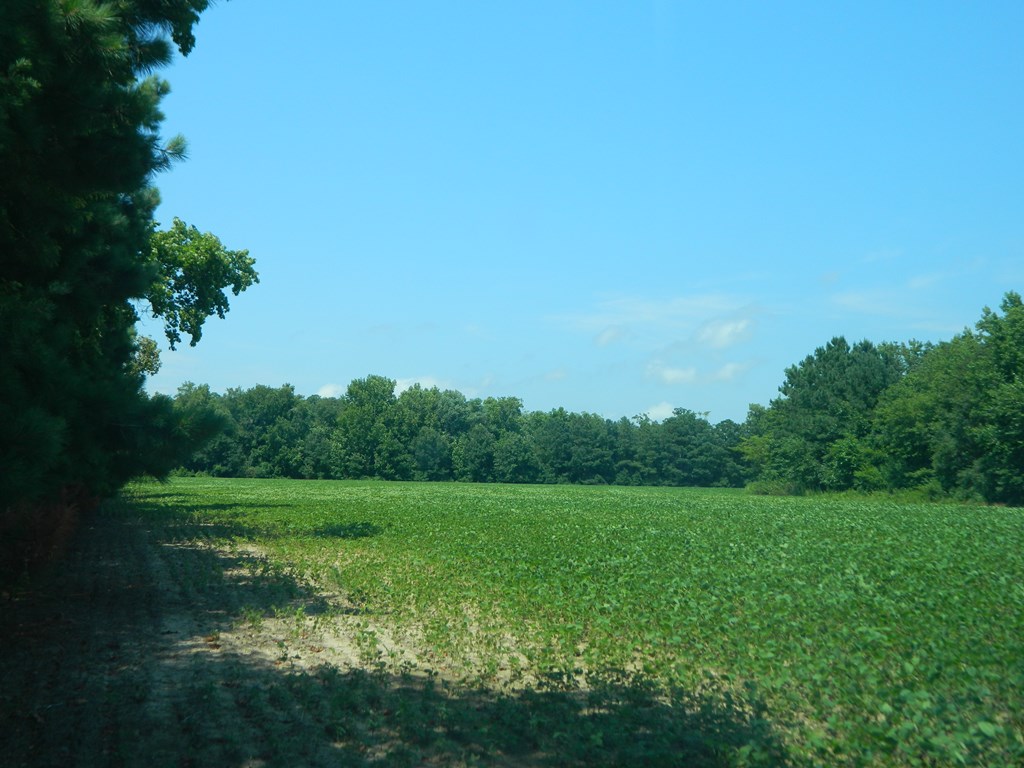 5011 Bailey Lane, Cape Charles, Virginia image 3