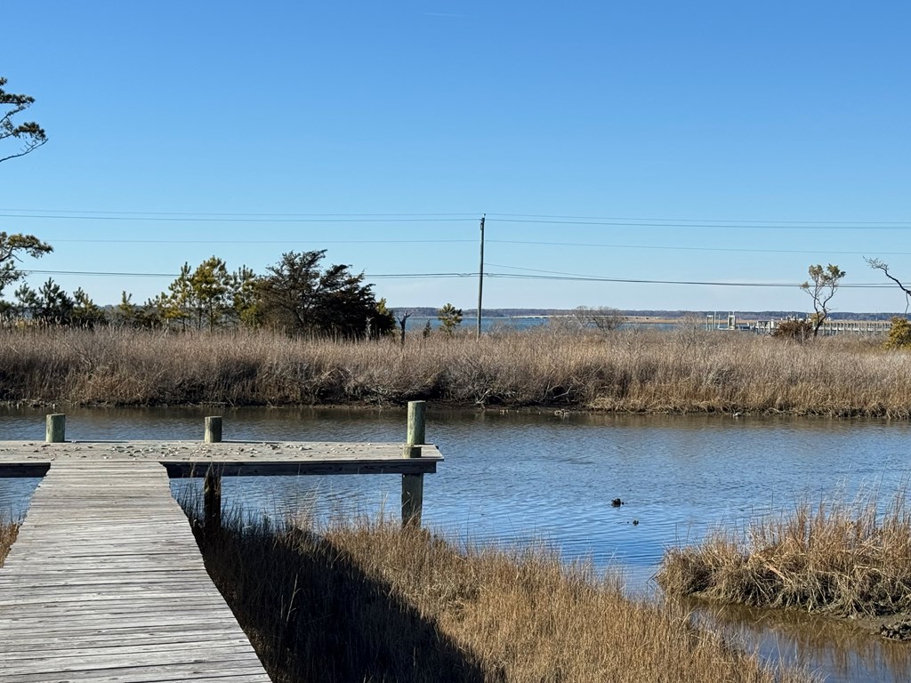 3045 Ridge Rd, Chincoteague, Virginia image 3