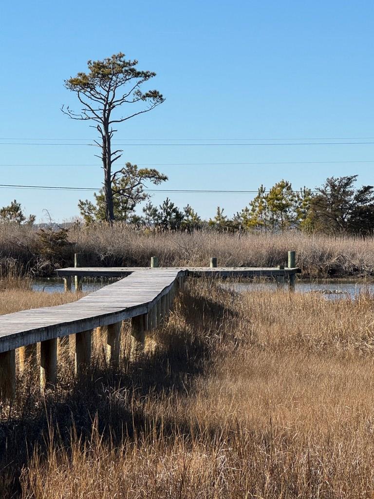 3045 Ridge Rd, Chincoteague, Virginia image 29