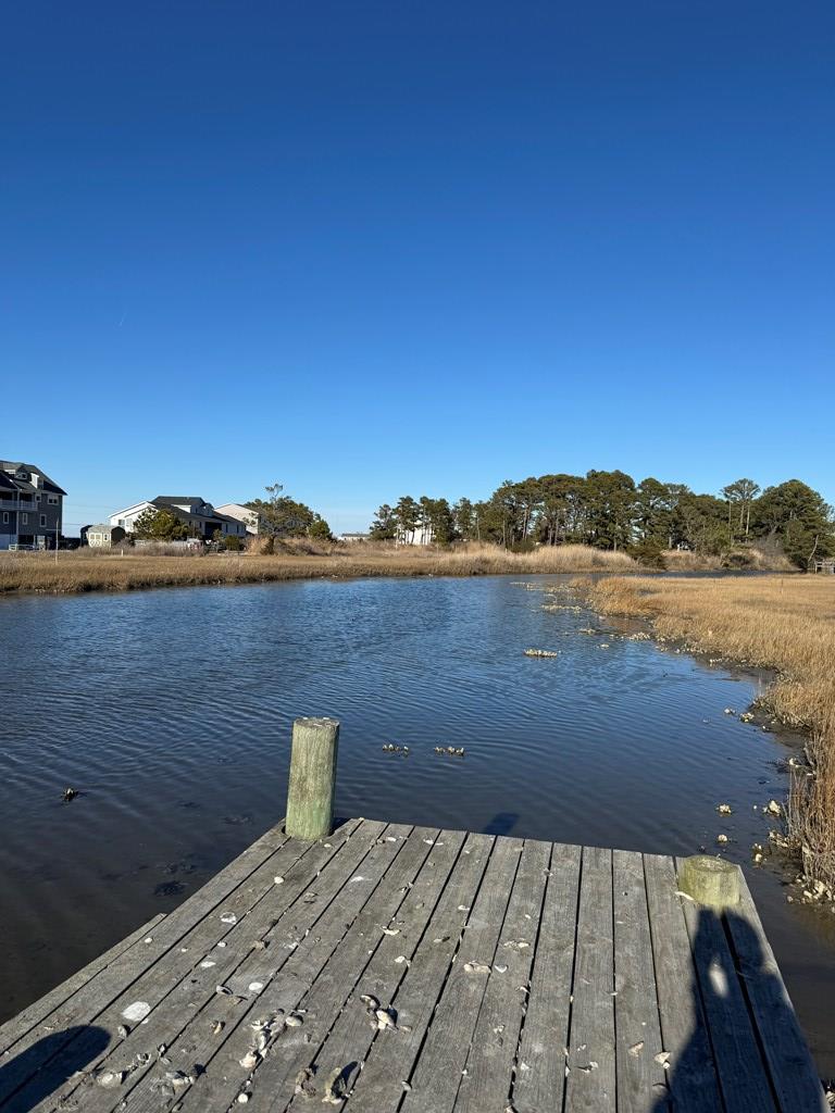 3045 Ridge Rd, Chincoteague, Virginia image 31