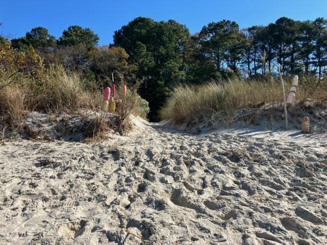 37 Church Neck Rd #37, Machipongo, Virginia image 14