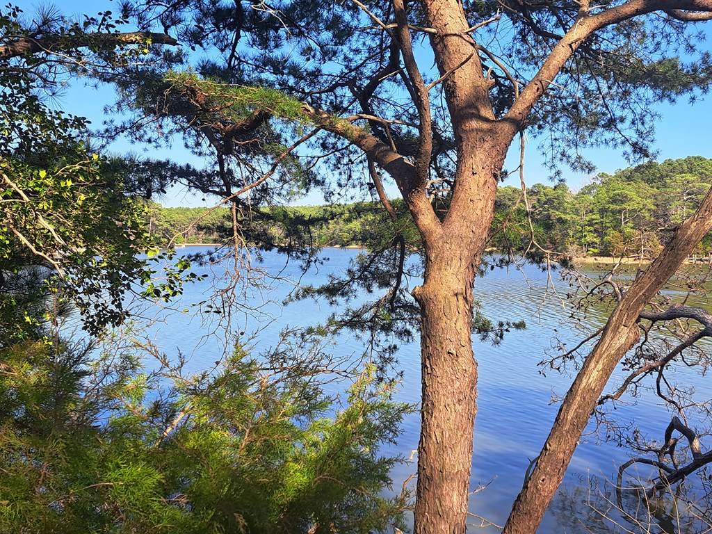 Lot 34 Creekside Ln #34, Cape Charles, Virginia image 12