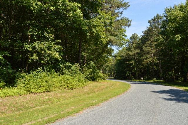 Lot 18 Yeo Neck Run #18, Melfa, Virginia image 5