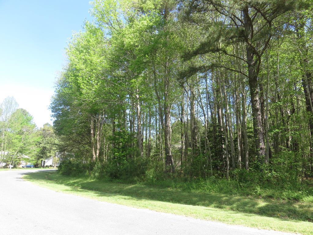 Lot 18 Yeo Neck Run #18, Melfa, Virginia image 1