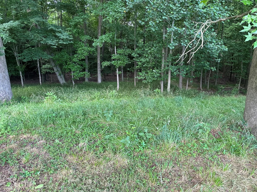 Lot 27 White Tail Rd #27, Melfa, Virginia image 4