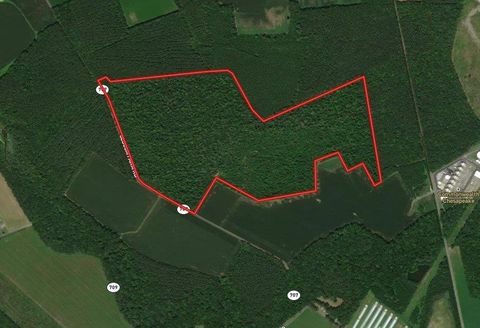 Vacant Land For Sale - None #14<br/> New Church, VA 23415