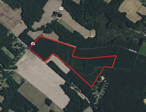 Vacant Land For Sale - Whites Neck Rd #140<br/> Parksley, VA 