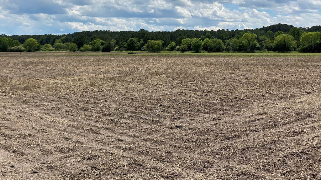 Church Rd #3-9, Onley, Virginia image 6