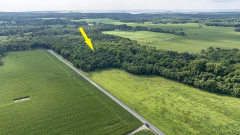 Vacant Land For Sale - 1-6 Hurst Store Road #1-6<br/> Accomack County, Greenbush, VA 23357