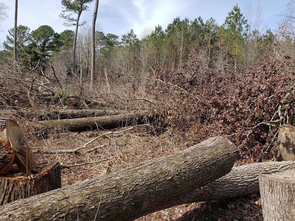 Lot 9 Undeveloped #9, Bloxom, Virginia image 4
