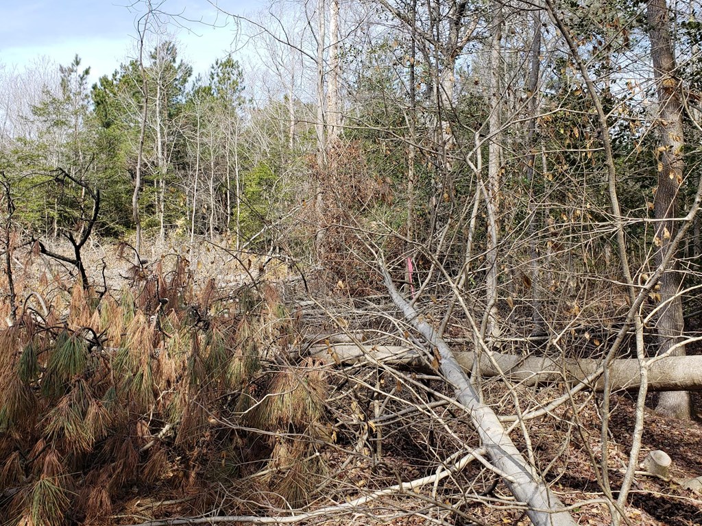 Lot 9 Undeveloped #9, Bloxom, Virginia image 5