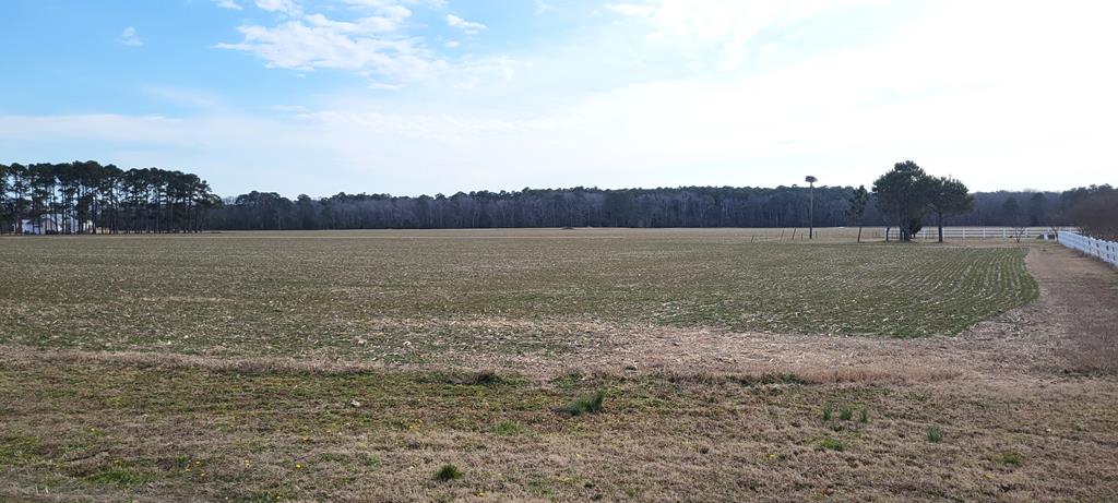 Lot 2B Sunset Way #2B, Machipongo, Virginia image 6