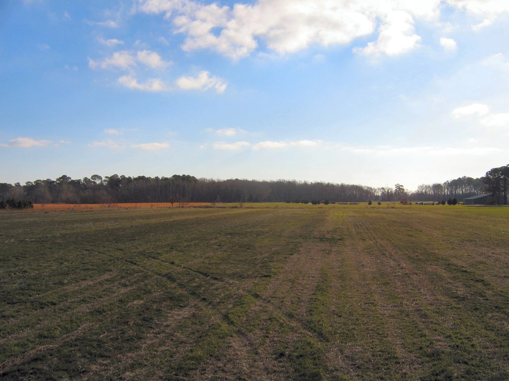 Lot 2B Sunset Way #2B, Machipongo, Virginia image 14