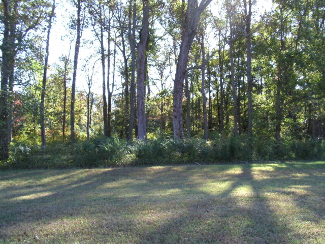 Lot 111 Coventon Lane #111, Horntown, Virginia image 1