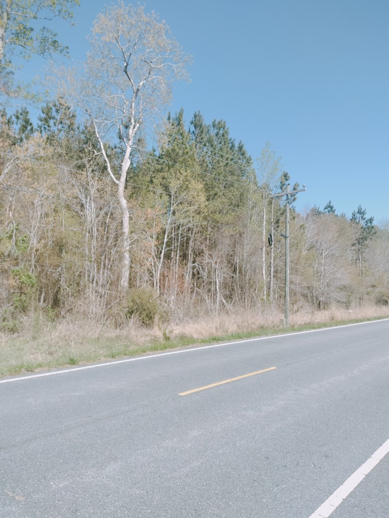 Mears Station Rd #N/A, Bloxom, Virginia image 3